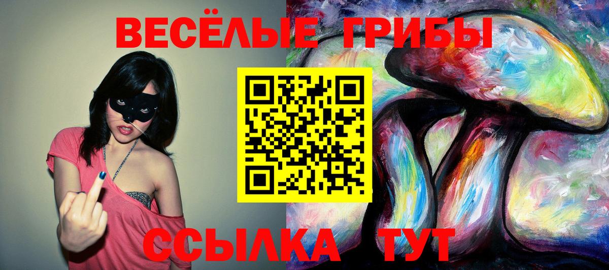 Псилоцибиновые грибы Psilocybine cubensis Балабаново