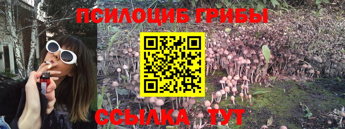 Галлюциногенные грибы мицелий  Вход с VPN  закладка  Балабаново 